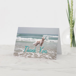 Golden Retriever Thank You Card Ocean