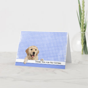 Golden Retriever Thank You for Pet Sitting
