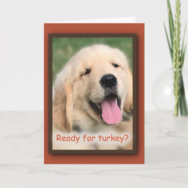 Golden Retriever Thanksgiving Turkey Greeting Card (Front)
