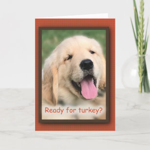 Golden Retriever Thanksgiving Turkey Greeting Card