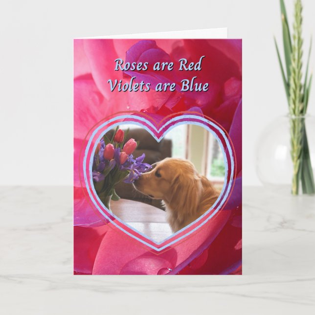 Golden Retriever The Dog is my Favourite Valentine Card (Front)
