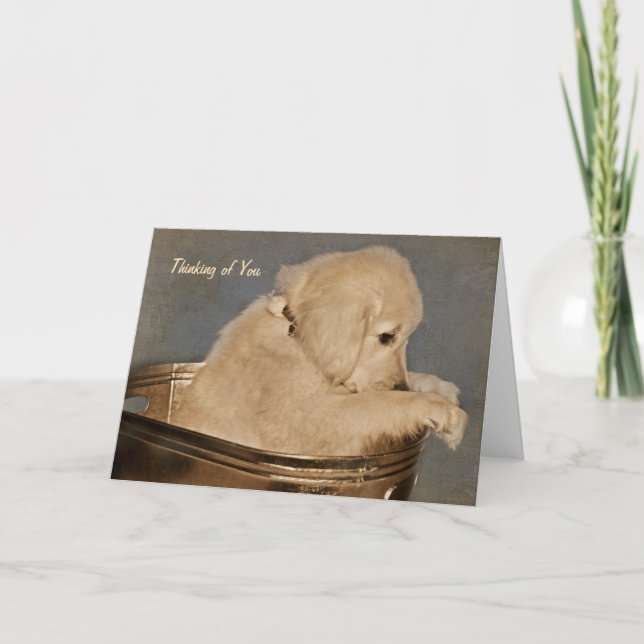 Golden Retriever Thinking of You Card (Front)
