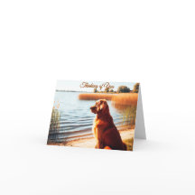 Golden Retriever Thinking of You Note Card