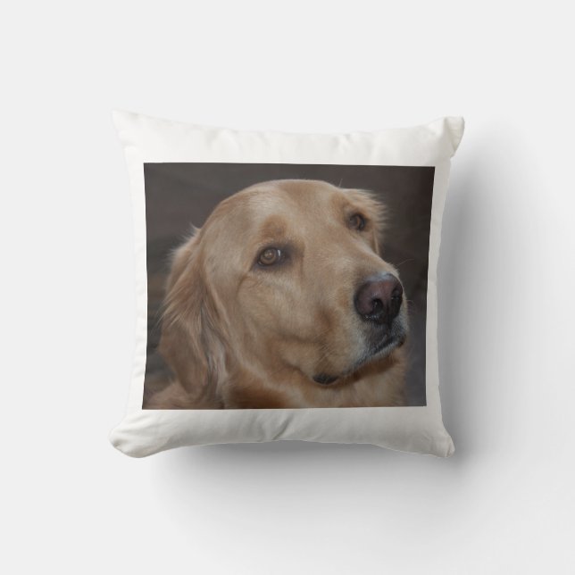 Golden Retriever throw pillow (Front)