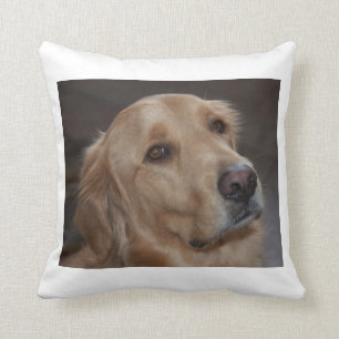 Golden Retriever throw pillow