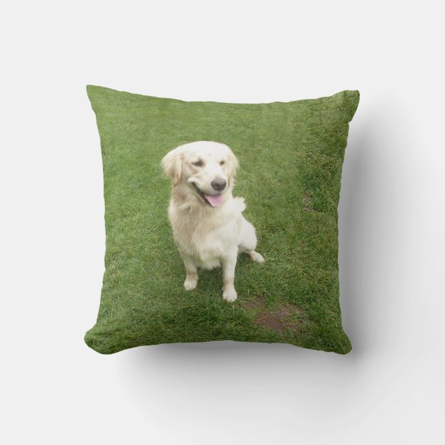 Golden Retriever Throw Pillow (Front)