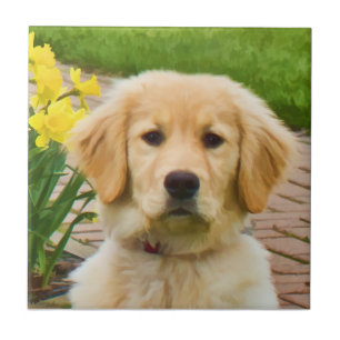 Golden Retriever Tile