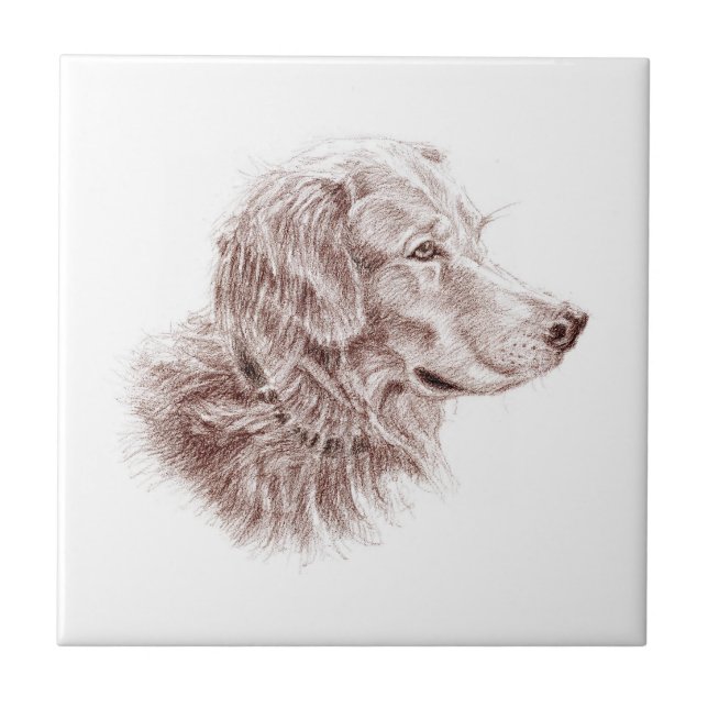 Golden Retriever Tile (Front)