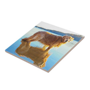 Golden Retriever Tile