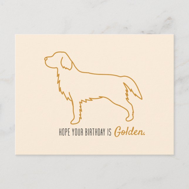 Golden Retriever Tissue Paper  Postcard (Front)