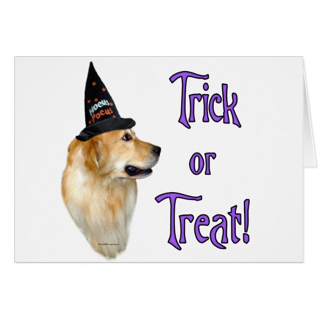 Golden Retriever Trick (Devant horizontal)