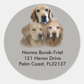 Golden Retriever Trio Return Address Stamp Classic Round Sticker