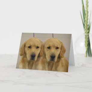 Golden Retriever Twins Greeting Card
