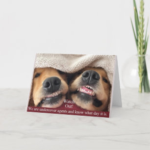 Golden Retriever Undercover Agents Carte d'anniver