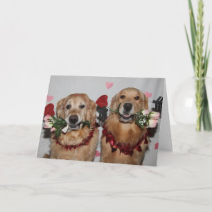 Golden Retriever Valentine Arrows of Love Holiday Card
