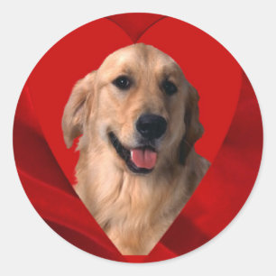 Golden Retriever Valentine Classic Round Sticker