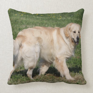 Golden Retriever Walking Throw Pillow