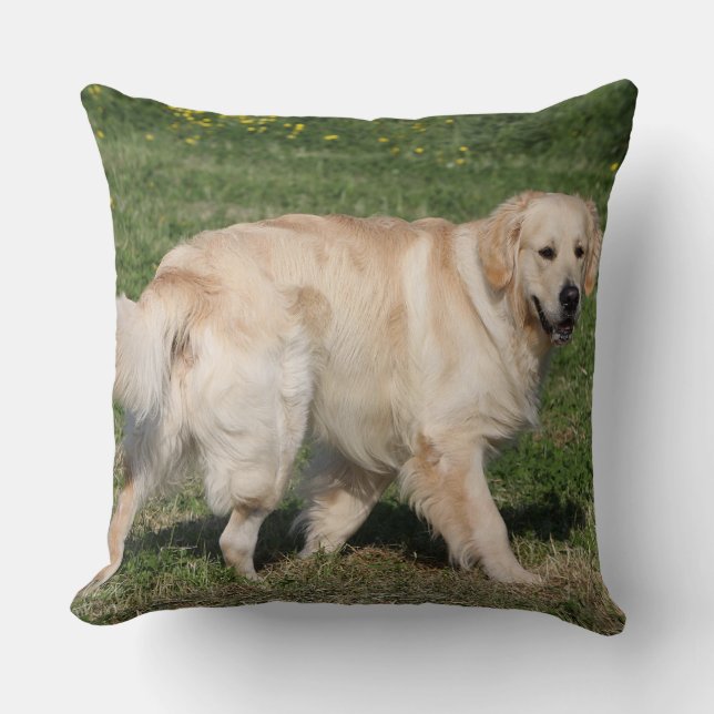 Golden Retriever Walking Throw Pillow (Front)