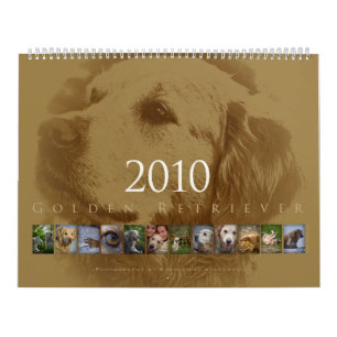 Golden Retriever - Wall Calendar 2010