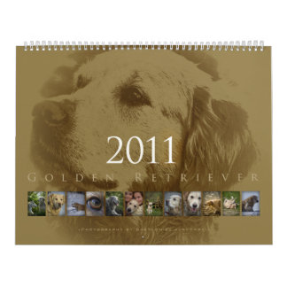 Golden Retriever - Wall Calendar 2011