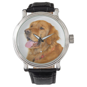 Golden retriever watch