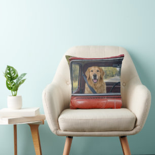 Golden Retriever Wearing a Seatbelt Throw Pillow