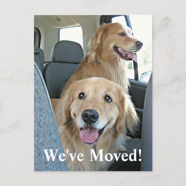 Golden Retriever We've Moved Change of Address Announcement Postcard (Front)