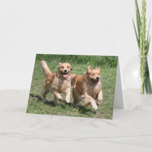 Golden Retriever Where's the Party? Card (Front)