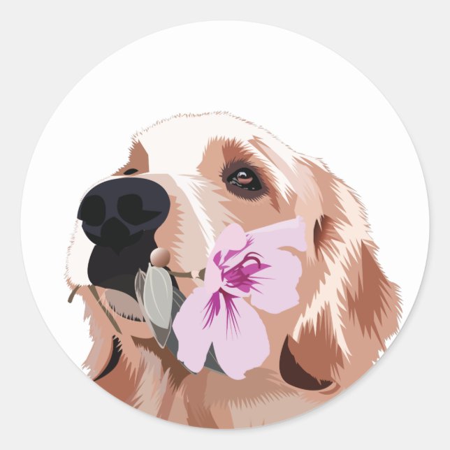 Golden Retriever with a Flower Classic Round Sticker (Front)