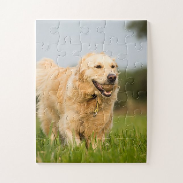 Golden Retriever with Ball Jigsaw Puzzle (Vertical)