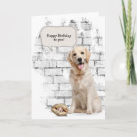 Golden Retriever with baseball and glove