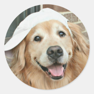Golden Retriever With Baseball Cap Classic Round Sticker