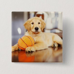 Golden Retriever With Basketball Toy 2 Inch Square Button