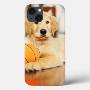 Golden Retriever With Basketball Toy iPhone 13 Case