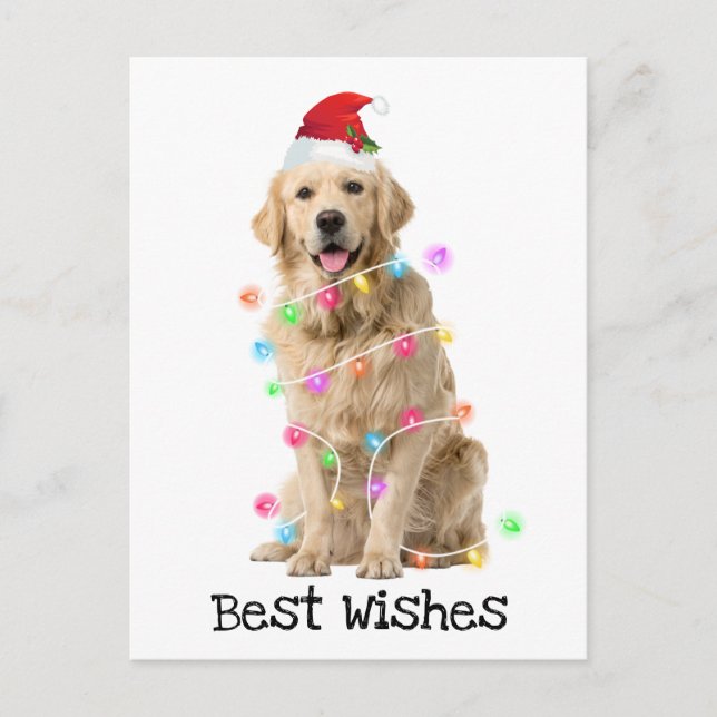 Golden Retriever with Christmas Lights Holiday Postcard (Front)