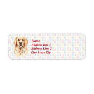 Golden Retriever With Colourful Paw Prints in Back