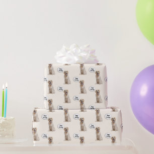 Golden Retriever with Eyeglasses  Wrapping Paper