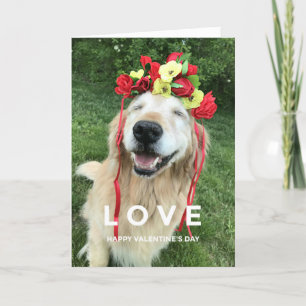 Golden Retriever With Flower Crown Valentine's Day Holiday Card