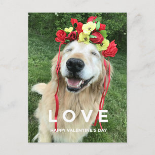 Golden Retriever With Flower Crown Valentine's Day Holiday Postcard