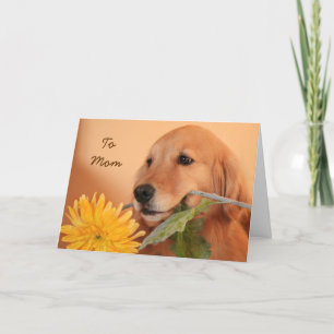 Golden Retriever With Flower Mother's Day Card