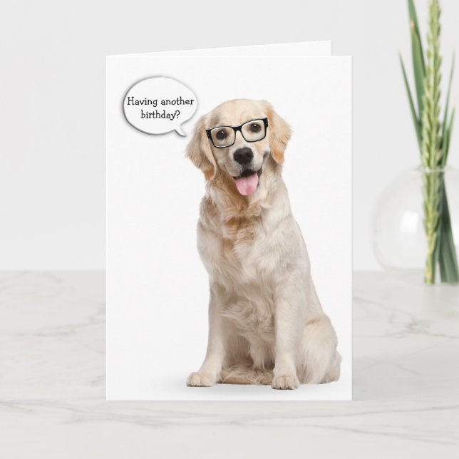 Golden Retriever with glasses birthday Card (Front)