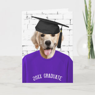 golden retriever with graduation cap card
