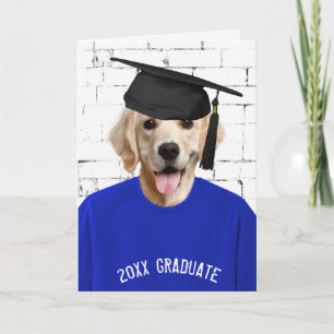 golden retriever with graduation cap card