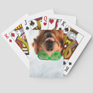 Golden Retriever With Green Sunglasses Playing Cards