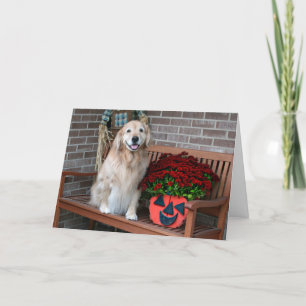Golden Retriever With Halloween Pumpkin Planter Card