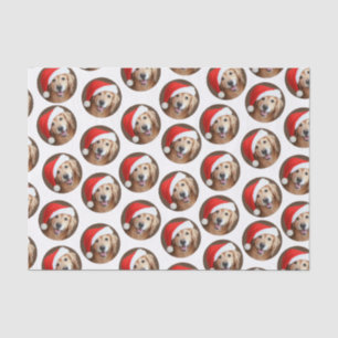 Golden Retriever With Red Santa Hat Tissue Paper