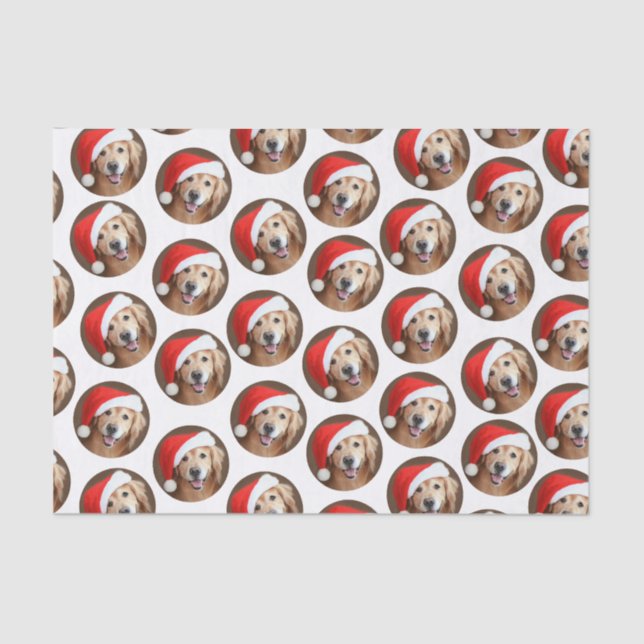 Golden Retriever With Red Santa Hat Tissue Paper (Front)