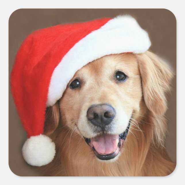 Golden Retriever With Santa Hat Square Sticker (Front)