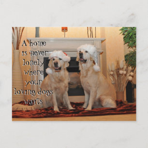 Golden Retriever with santa hats on a never lonly Postcard