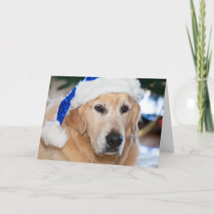 Golden Retriever with  santa's hat in Christmas Holiday Card